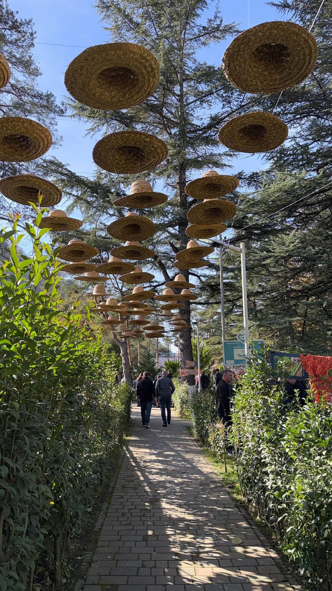 ფრიდონ ხალვაშის პარკი (Khalvashi Park) 1